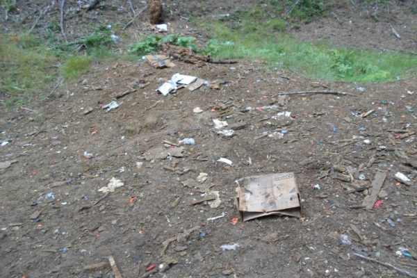 DSCN5473_op_720x540 DSCN5473_op_720x540