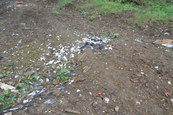 DSCN5474_op_720x540 DSCN5474_op_720x540