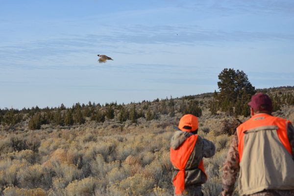 Bend Youth Pheasant HUnt 2017 copy 2