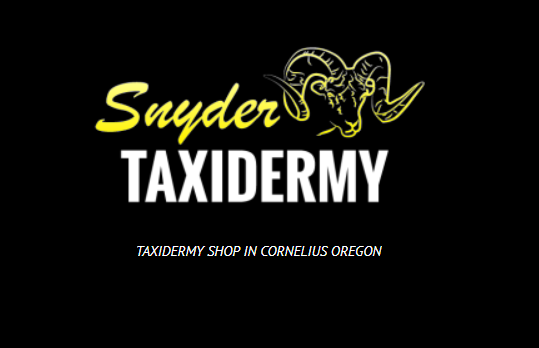 Snyder Taxidermy