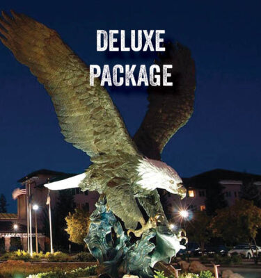 Deluxe Package