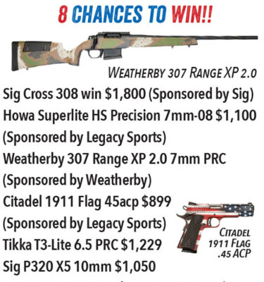 Wall of Guns Package