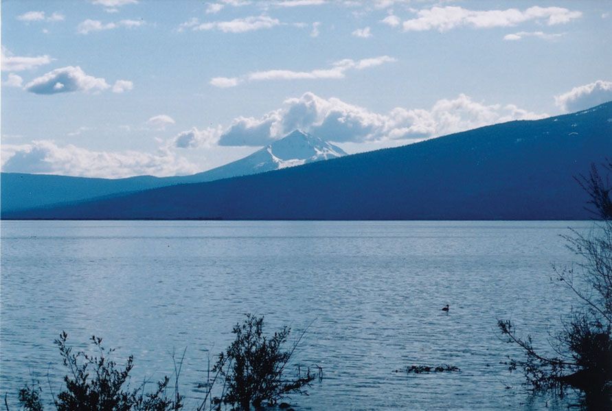 MA23 quiz pic WEB Oregon Hunters Association