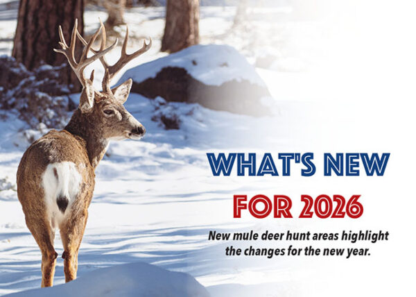 Oregon Big Game Changes For 2026 Oregon Hunters Association Whats New In26 600x428 